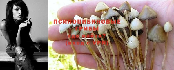 первитин Алексеевка