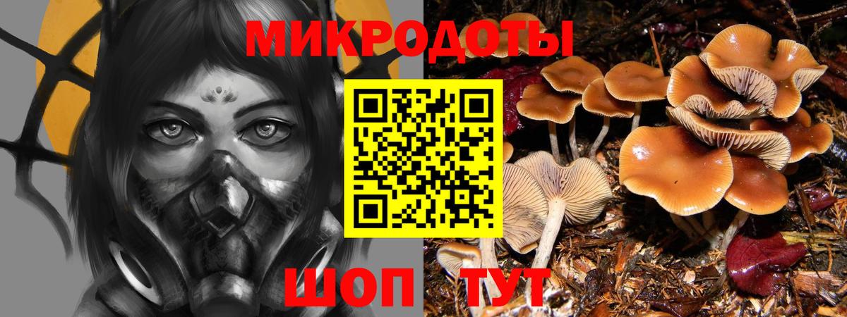 Галлюциногенные грибы MAGIC MUSHROOMS  Вход с VPN  Галлюциногенные грибы Psilocybine cubensis  Дзержинск 